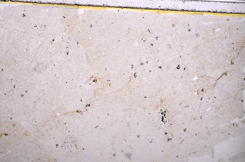 Plane Polarized, E39671/B