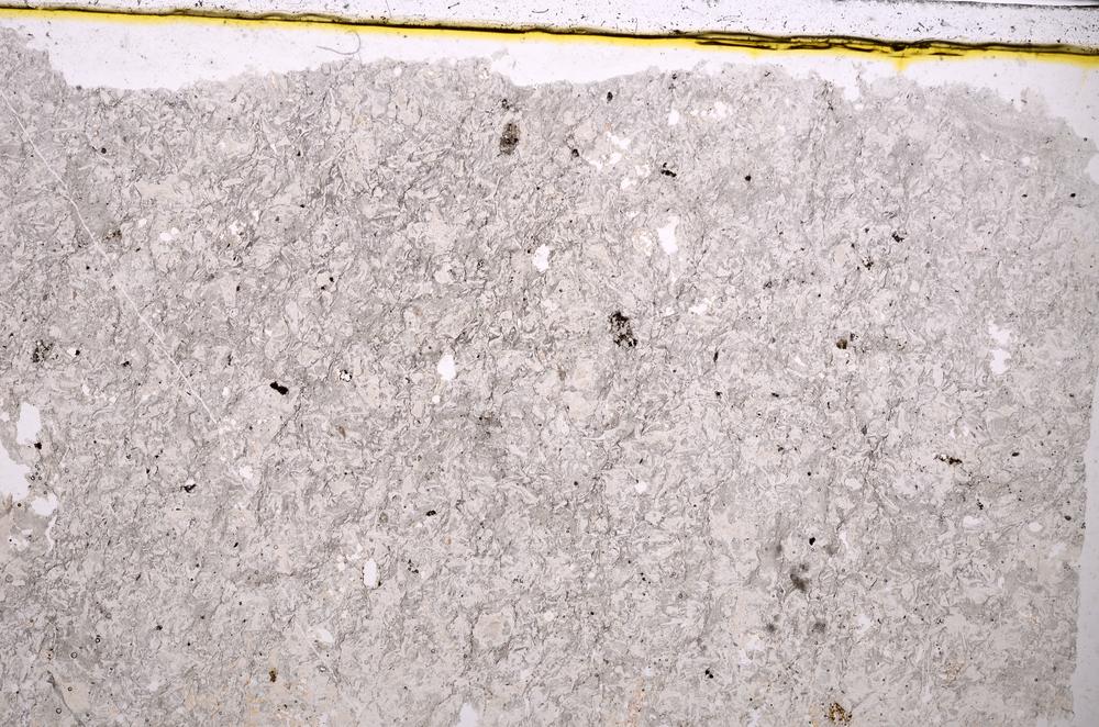 Plane Polarized, E39687