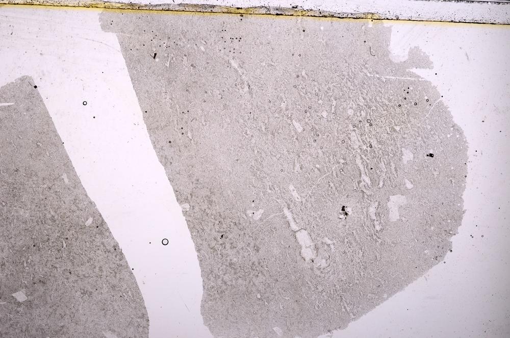 Plane Polarized, E39693/A