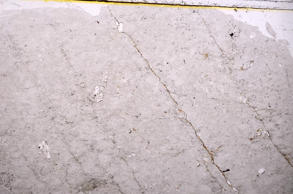 Plane Polarized, E39715