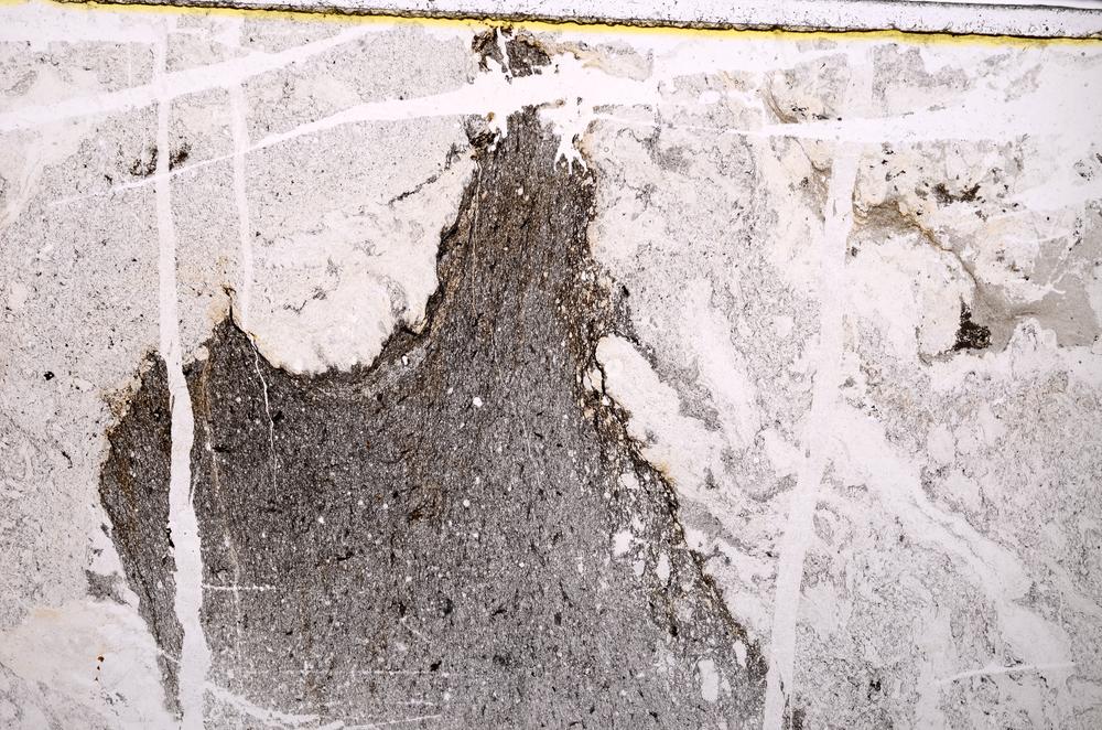 Plane Polarized, E39759