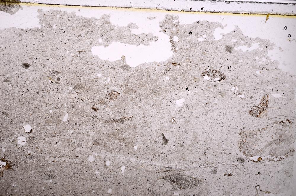 Plane Polarized, E39762