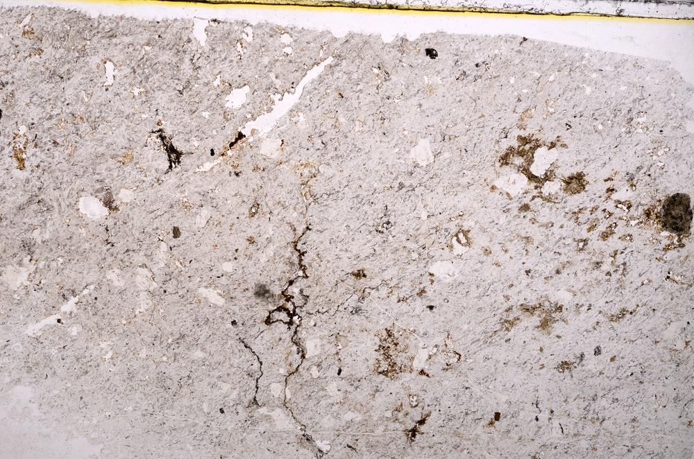 Plane Polarized, E39763