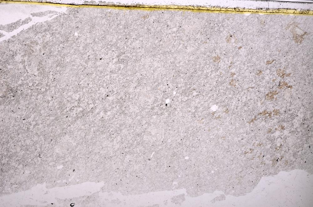 Plane Polarized, E39764