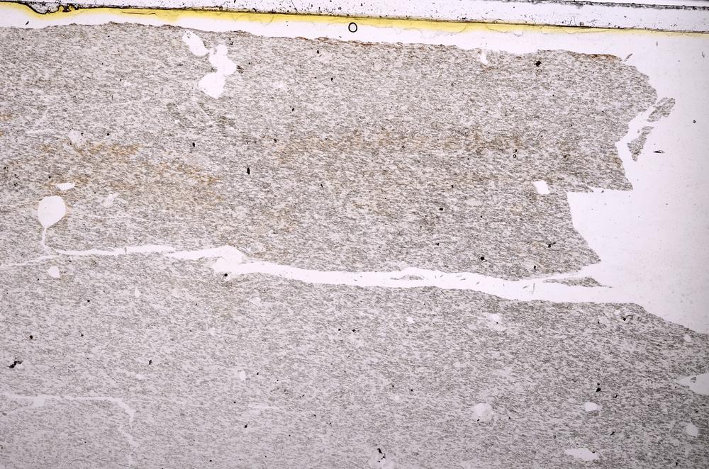 Plane Polarized, E39765