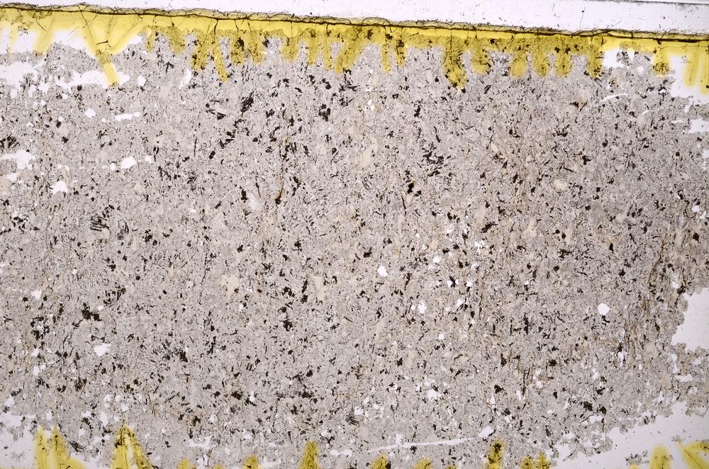 Plane Polarized, E39950