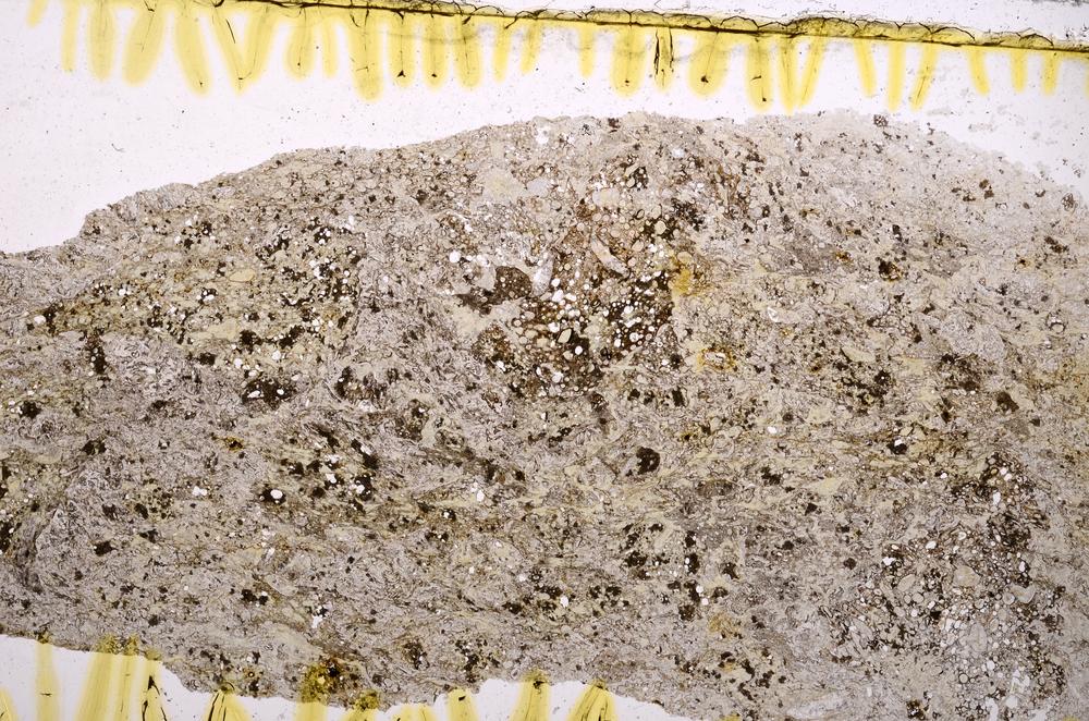 Plane Polarized, E39956