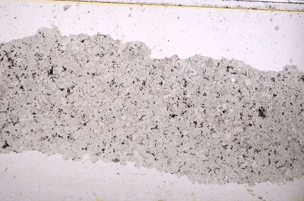 Plane Polarized, E39958