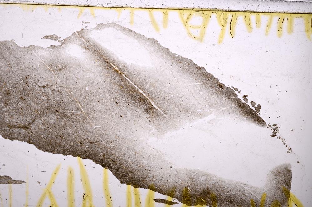 Plane Polarized, E39966