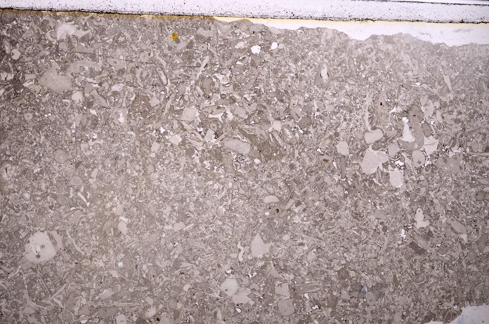 Plane Polarized, E40031