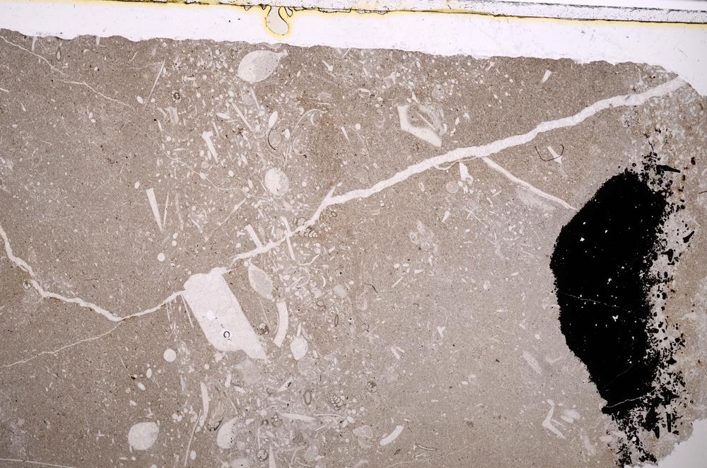 Plane Polarized, E40032