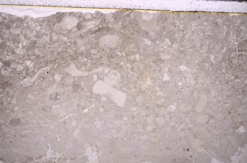 Plane Polarized, E40033