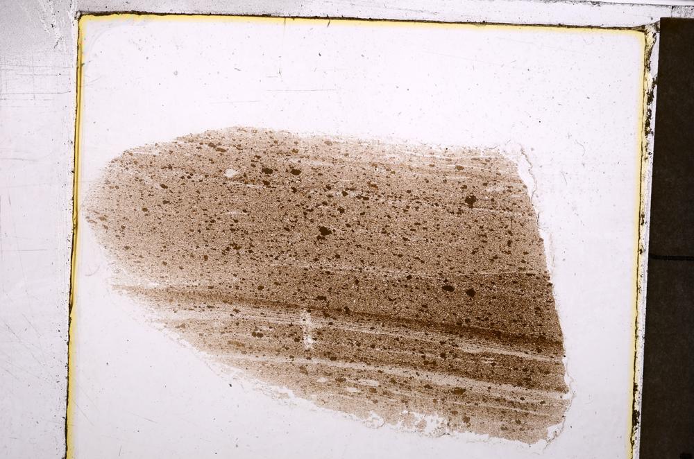 Plane Polarized, E40127