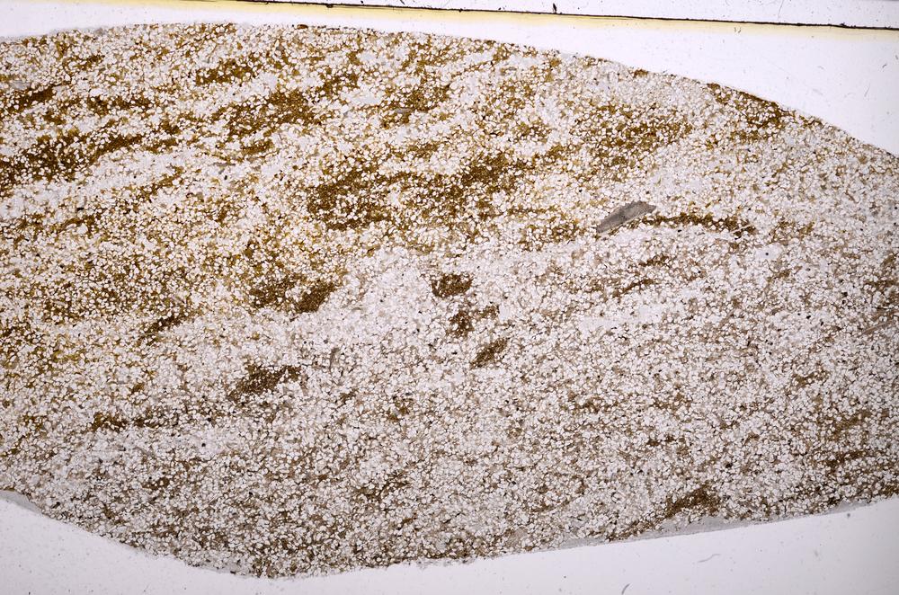 Plane Polarized, E40157/A