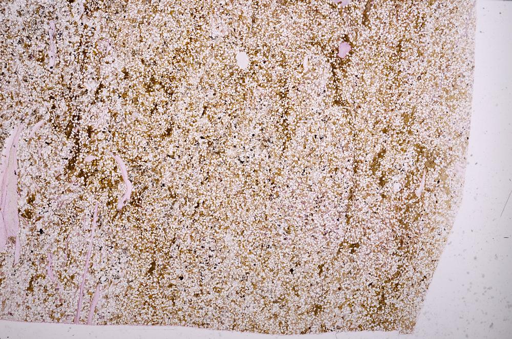 Plane Polarized, E40158