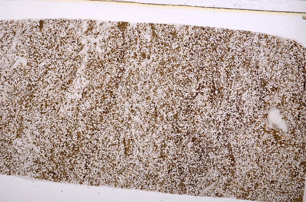 Plane Polarized, E40160/A