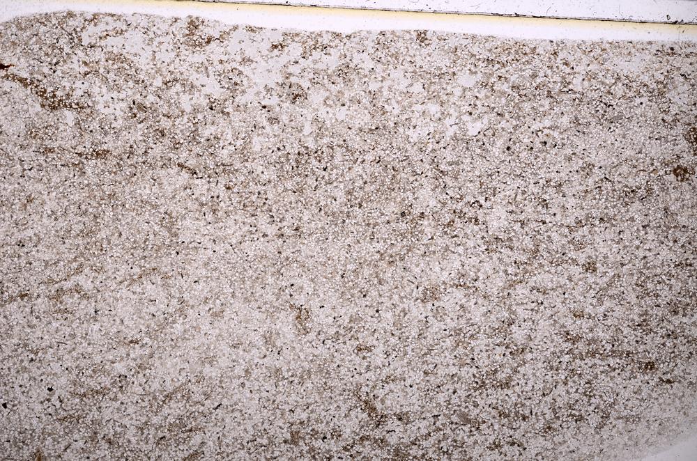 Plane Polarized, E40167/A