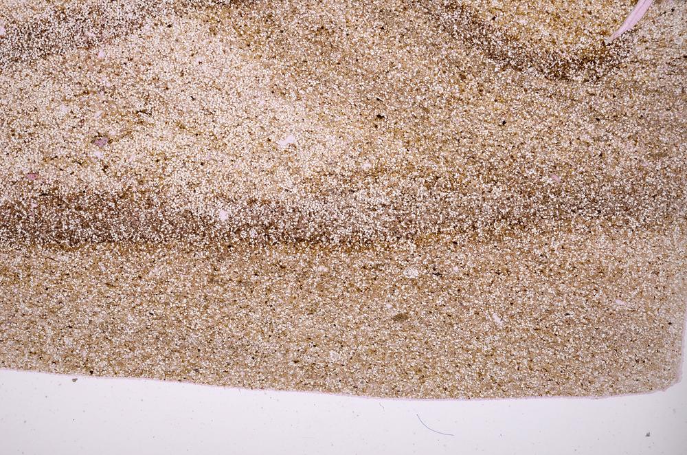 Plane Polarized, E40169