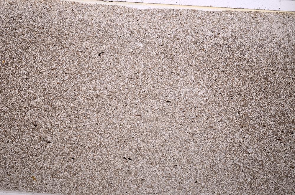 Plane Polarized, E40170/A