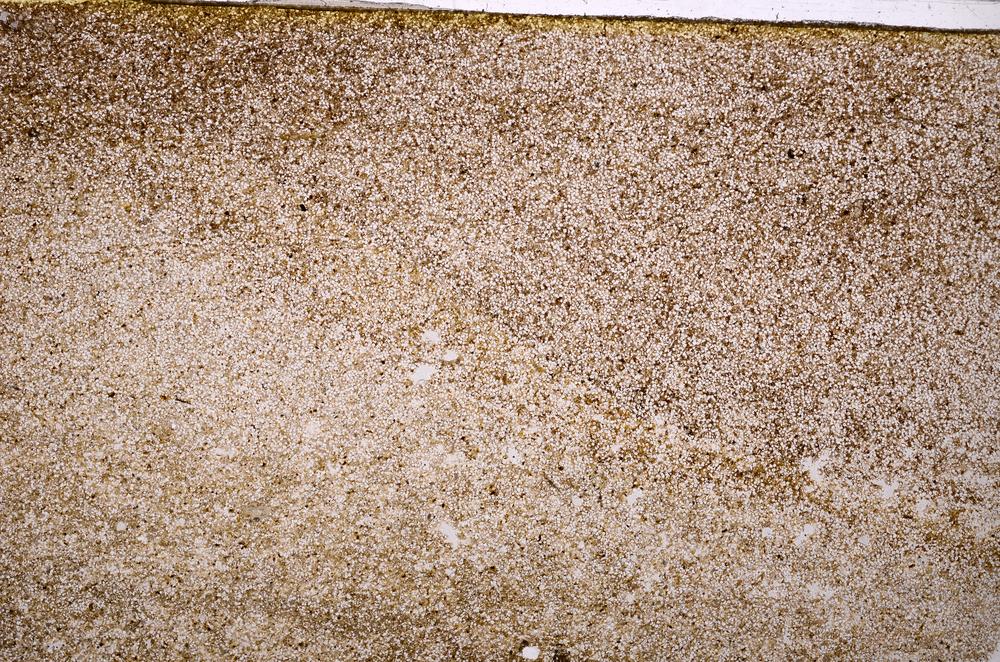 Plane Polarized, E40172/A