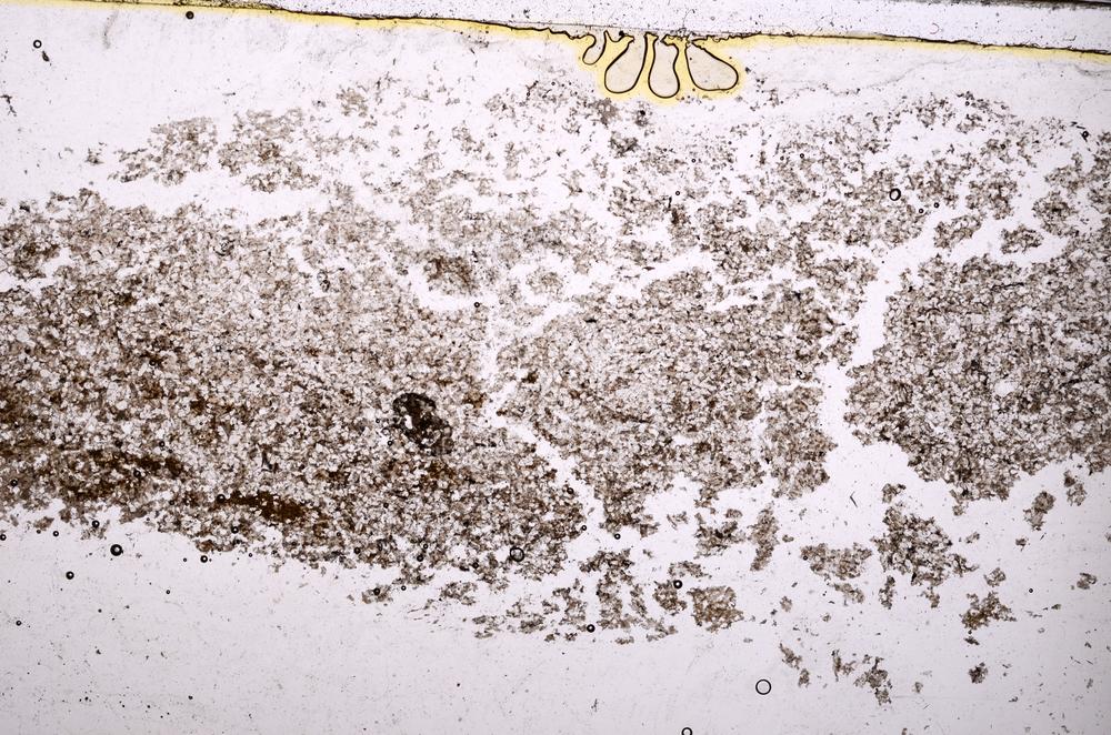 Plane Polarized, E40246