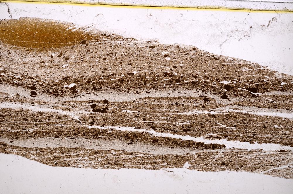 Plane Polarized, E40277