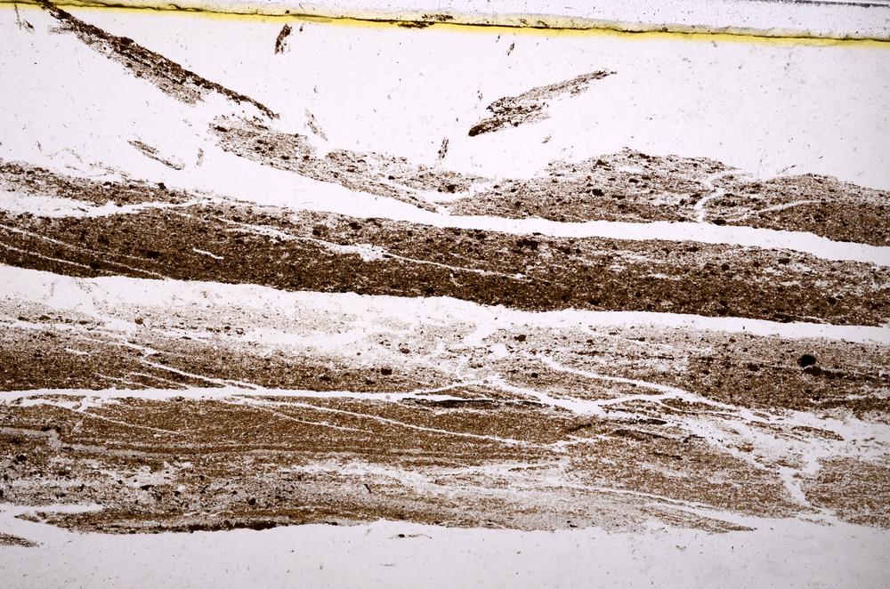 Plane Polarized, E40277/A