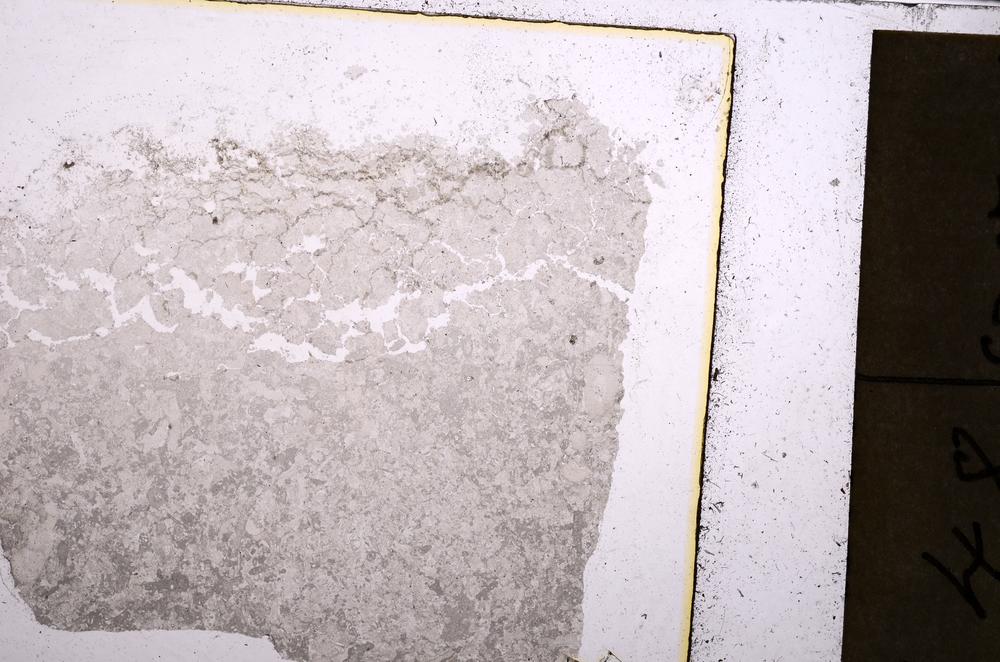Plane Polarized, E40533