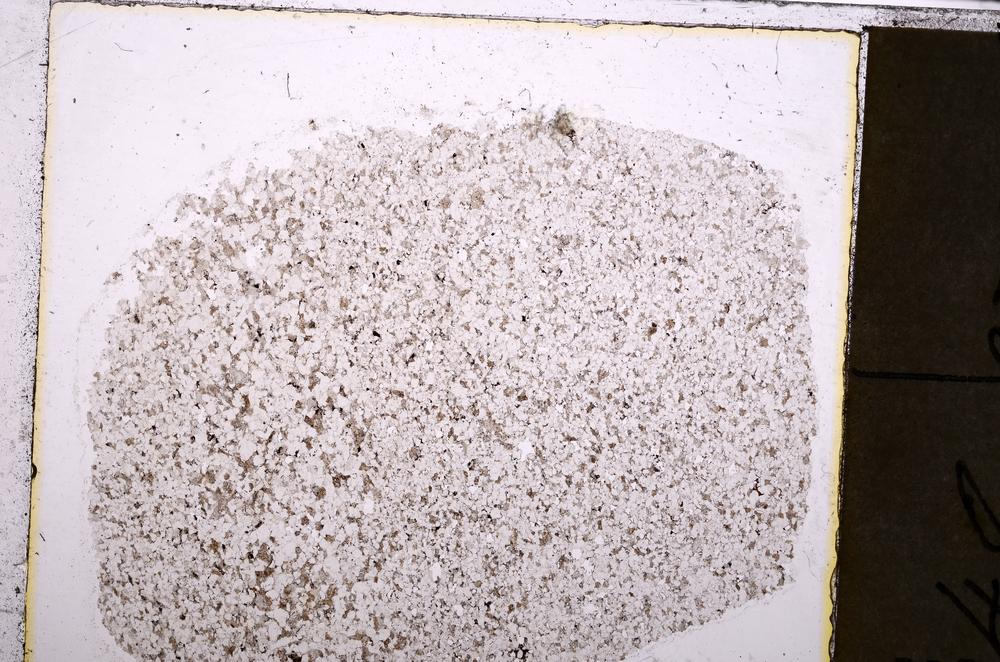 Plane Polarized, E40537