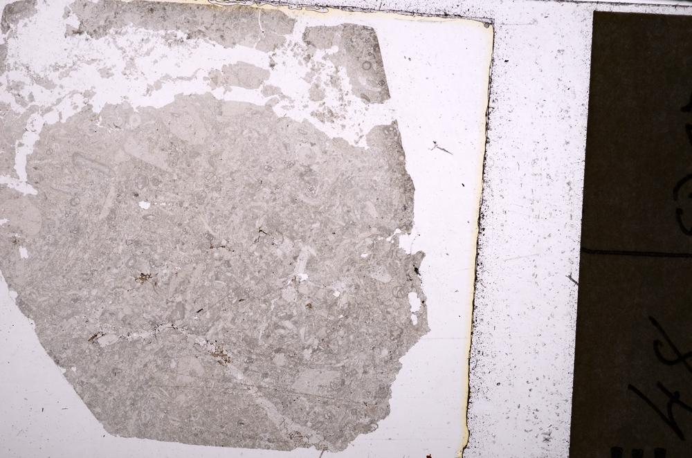 Plane Polarized, E40538