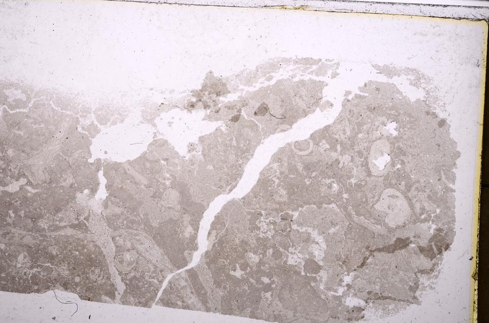 Plane Polarized, E40540