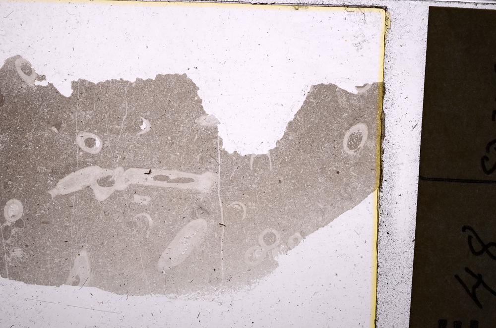 Plane Polarized, E40541