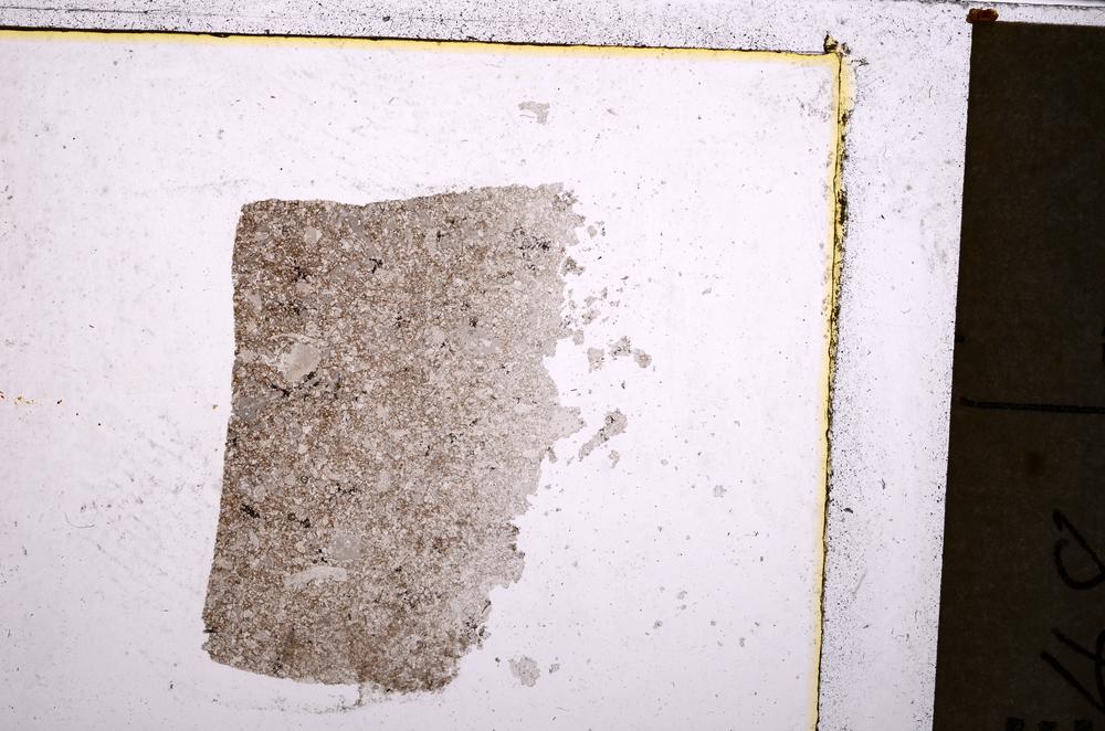 Plane Polarized, E40543