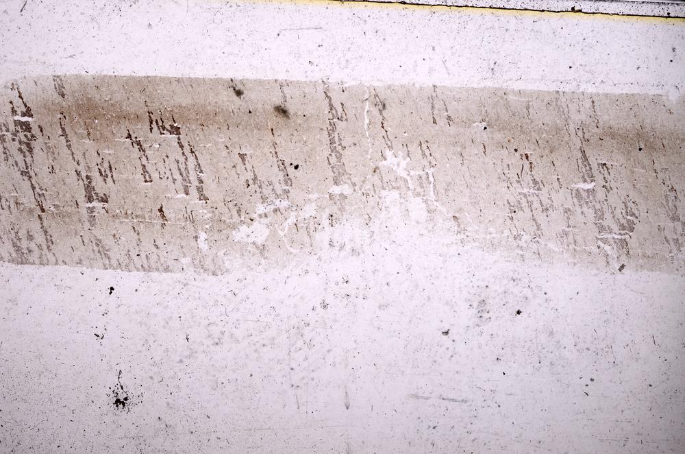 Plane Polarized, E40548