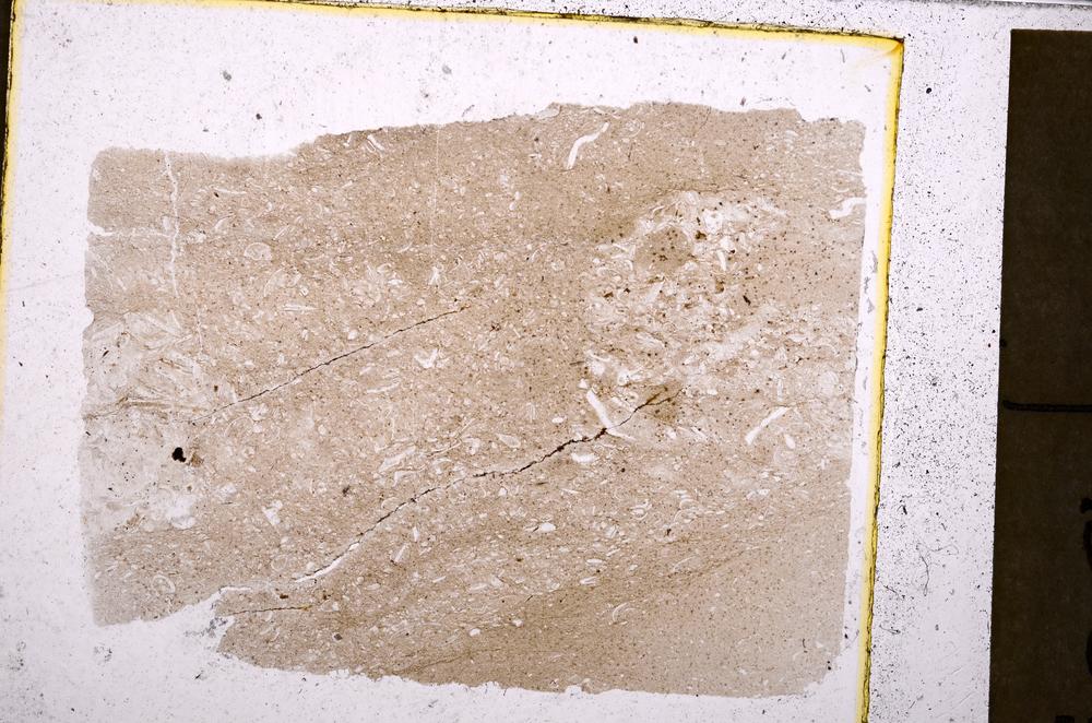 Plane Polarized, E40549