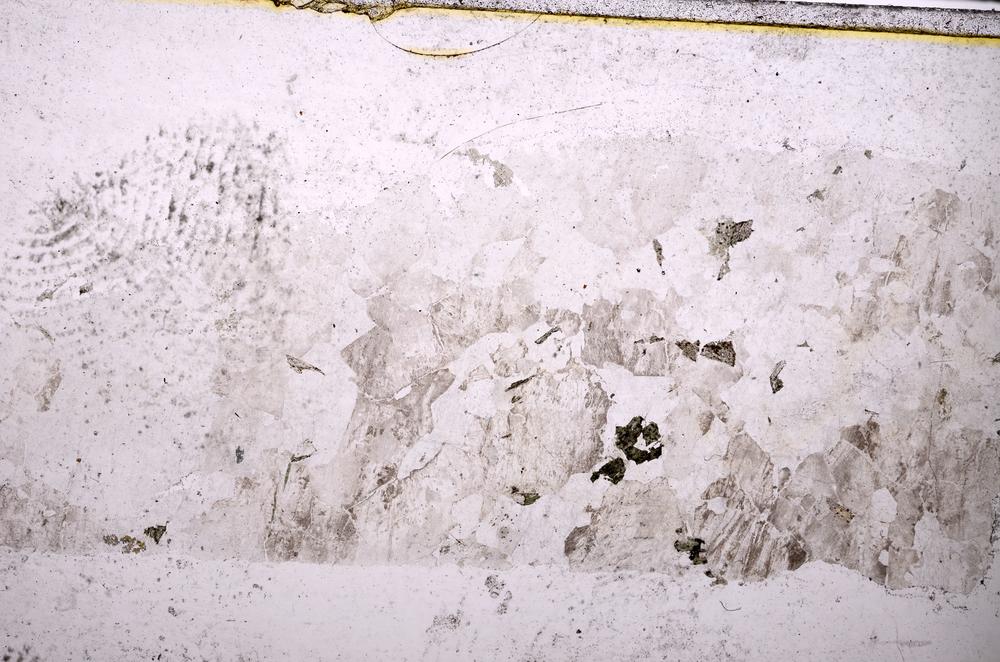 Plane Polarized, E40552