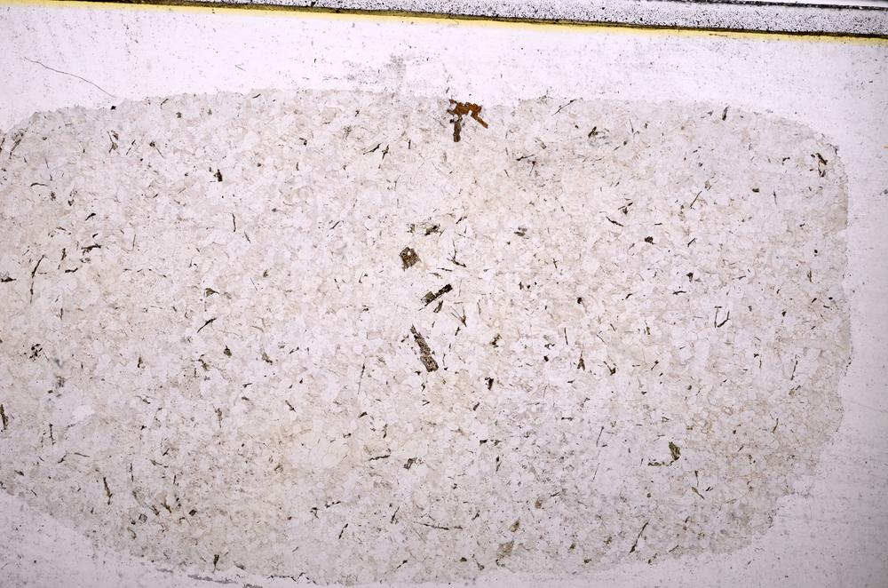 Plane Polarized, E40553
