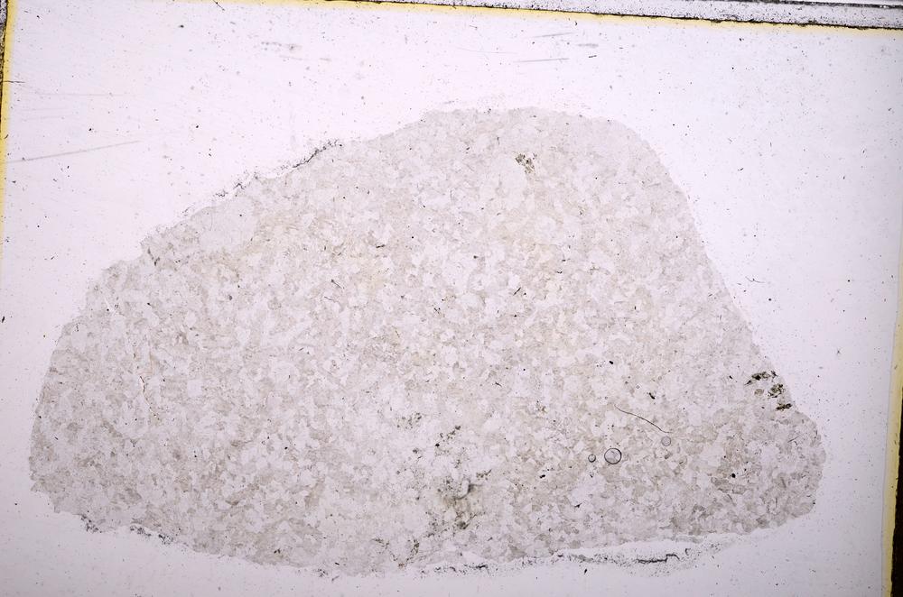 Plane Polarized, E40557