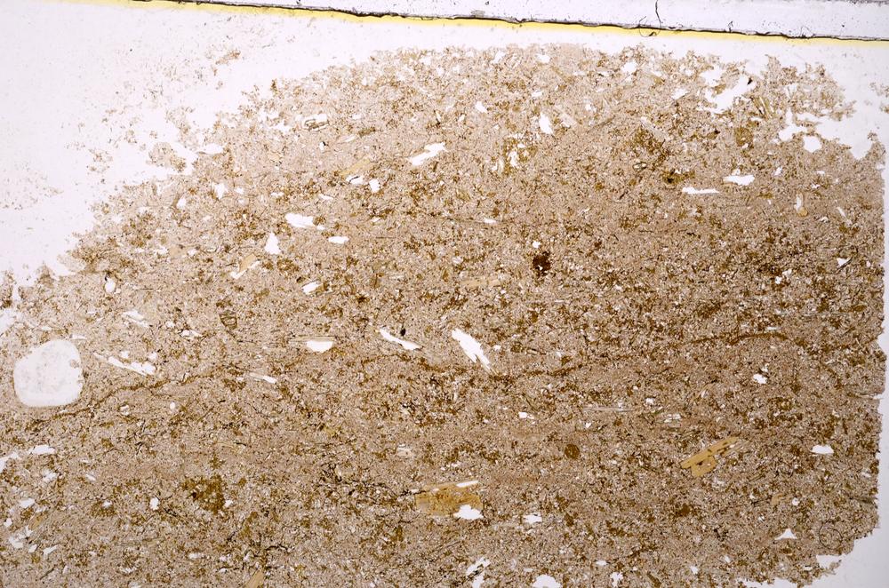 Plane Polarized, E40627