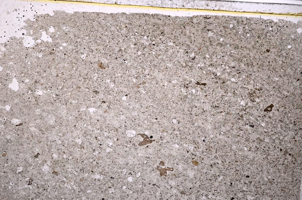 Plane Polarized, E40639