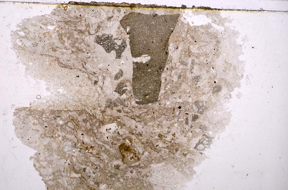 Plane Polarized, E40641