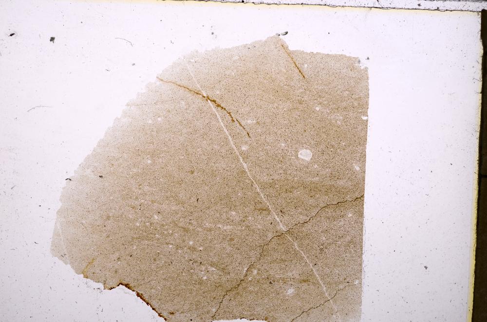 Plane Polarized, E40655