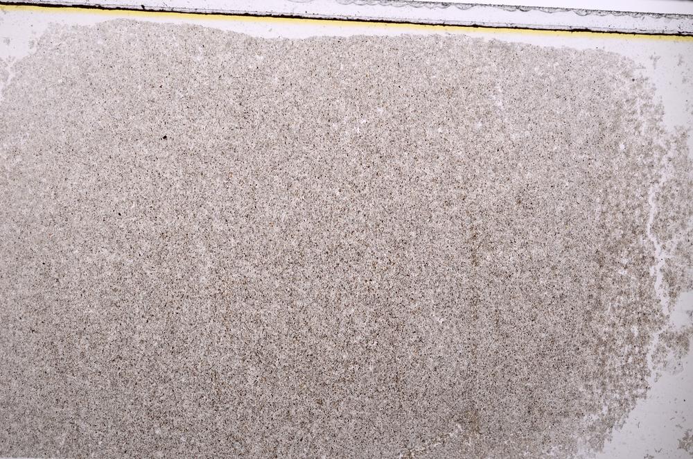 Plane Polarized, E40783