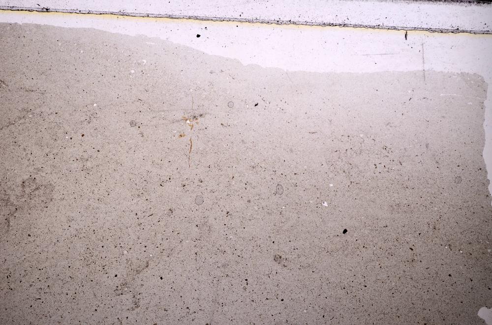 Plane Polarized, E40799