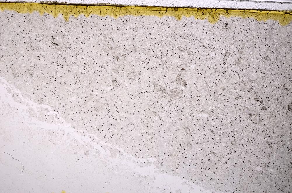 Plane Polarized, E40815/A