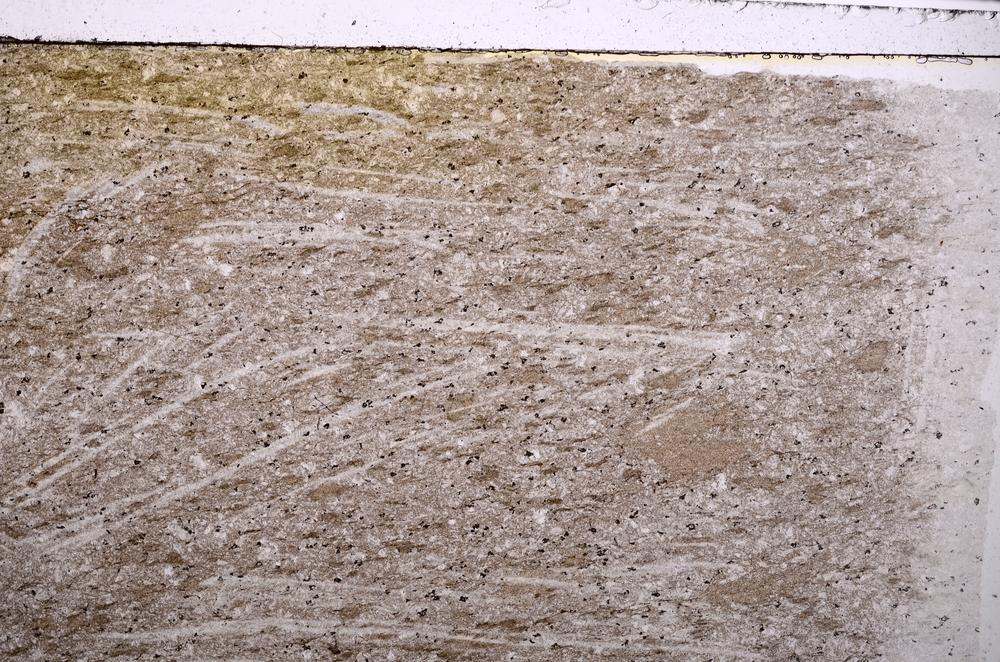 Plane Polarized, E40839