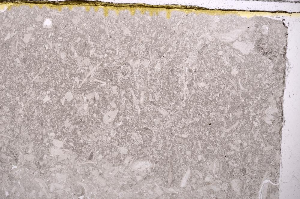 Plane Polarized, E40896