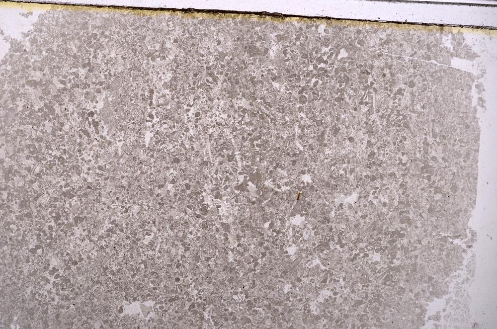 Plane Polarized, E40918