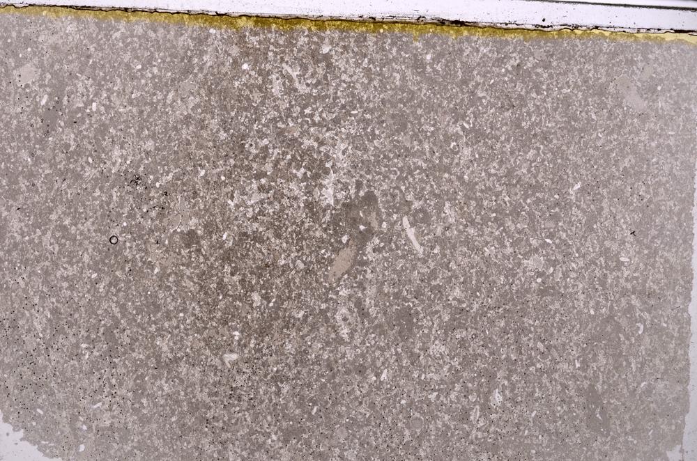 Plane Polarized, E40924