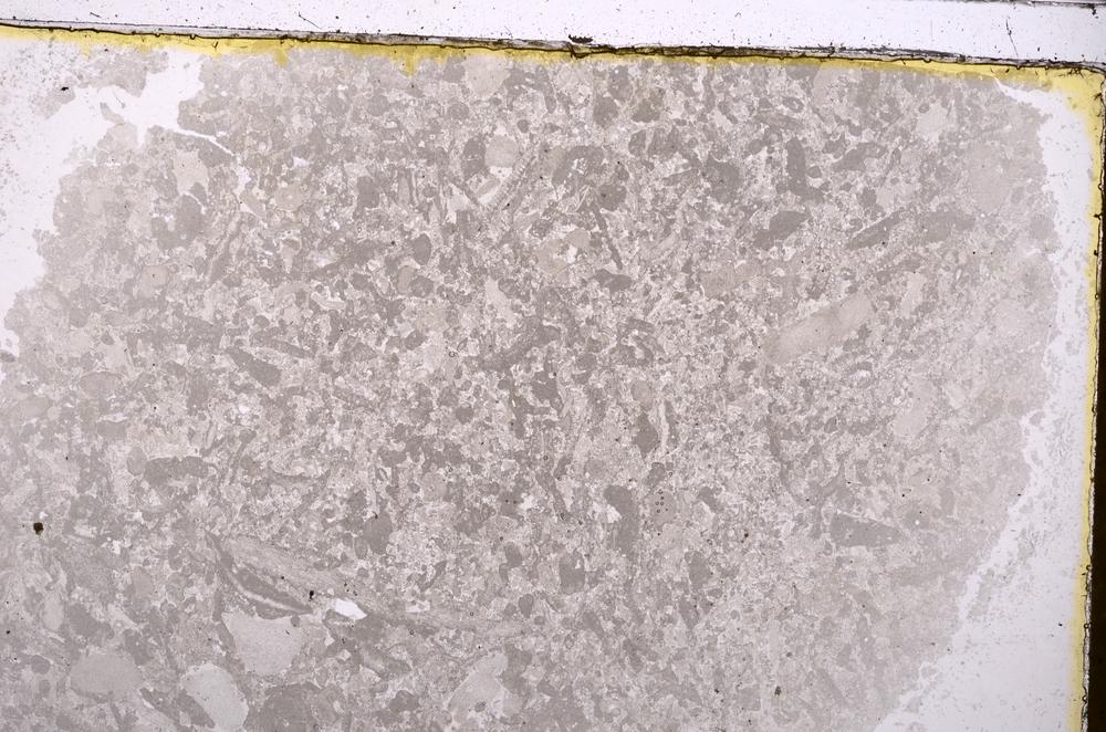 Plane Polarized, E40945